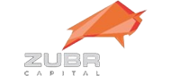 Zubr Capital